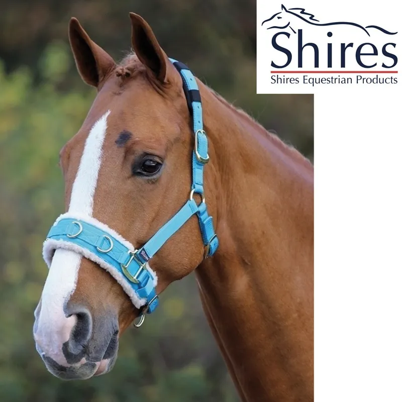 Shires Fleece Lined Lunge Cavesson - Blue 